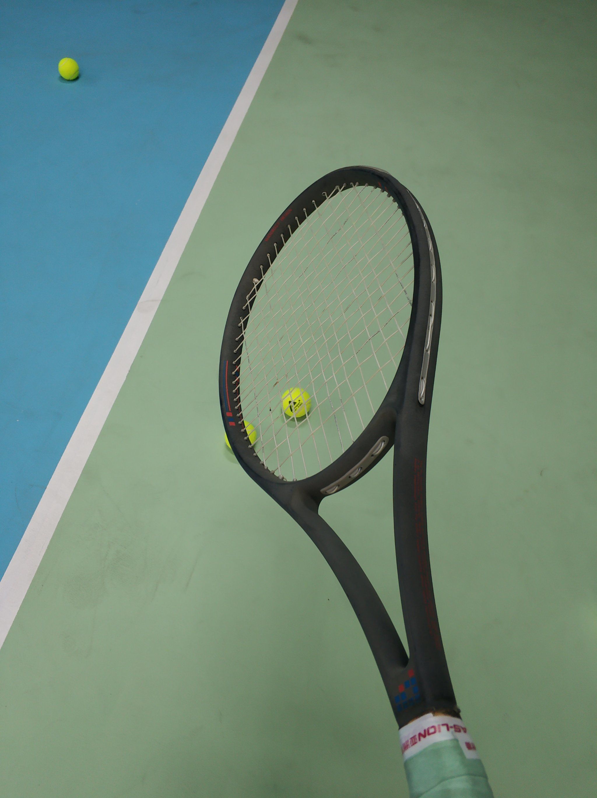 他们在某些 他们在某些