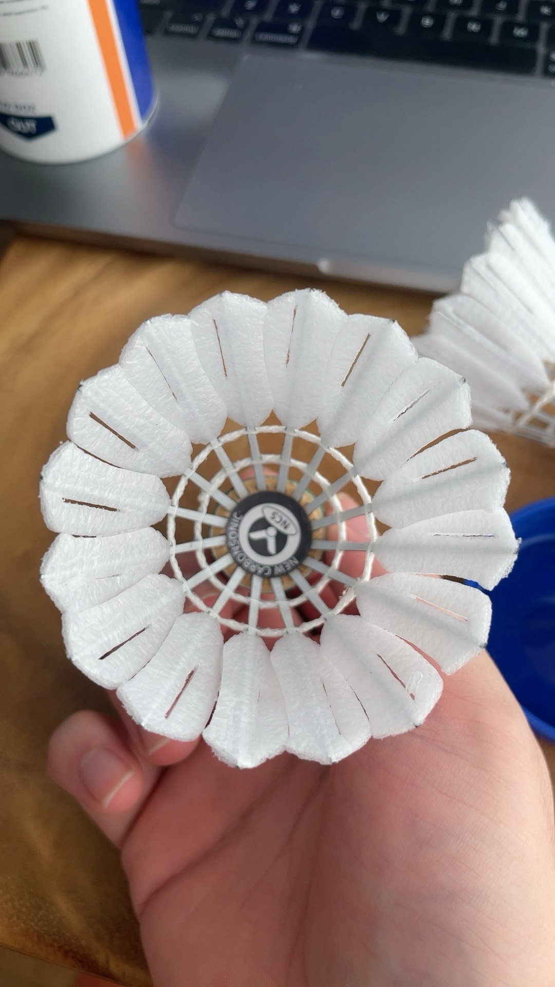 到索菲亚教 到索菲亚教